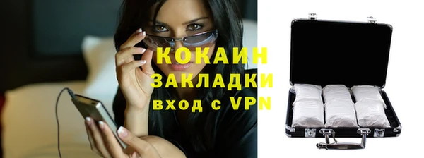 амф Пересвет