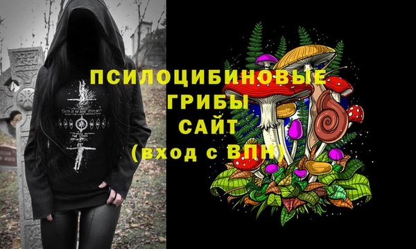 молекула духа Переславль-Залесский