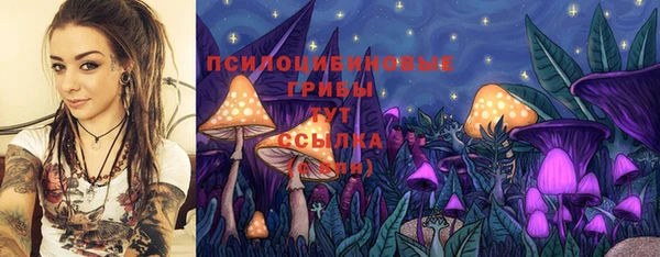амф Пересвет
