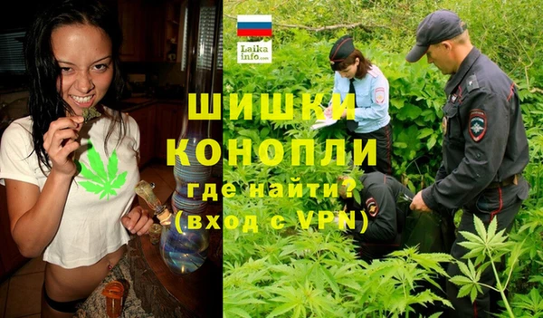 молекула духа Переславль-Залесский
