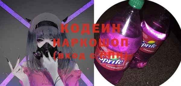 молекула духа Переславль-Залесский