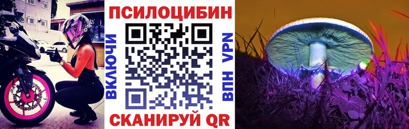 Псилоцибиновые грибы ЛСД Северская